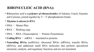 RIBONUCLEIC ACID (RNA):
• Ribonucleic acid is a polymer of ribonucleotides of Adenine, Uracil, Guanine
and Cytosine, joined together by 3’ – 5’ phosphodiester bonds.
• Thymine is absent in RNA.
• DNA  Master Plan
• RNA  Working copy
• DNA  RNA (Transcription)  Protein (Translation)
• Coding RNA  mRNA  translated to proteins
• Noncoding RNAs (ncRNAs): ribosomal RNAs (rRNAs), transfer RNAs
(tRNAs), and additional small RNA molecules that perform specialized
structural, catalytic, and regulatory functions and are not translated.
 
