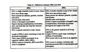 4. RNA & its Types ( Ribonucleicacid).pptx