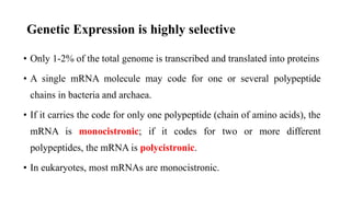 Genetic Expression is highly selective
• Only 1-2% of the total genome is transcribed and translated into proteins
• A single mRNA molecule may code for one or several polypeptide
chains in bacteria and archaea.
• If it carries the code for only one polypeptide (chain of amino acids), the
mRNA is monocistronic; if it codes for two or more different
polypeptides, the mRNA is polycistronic.
• In eukaryotes, most mRNAs are monocistronic.
 