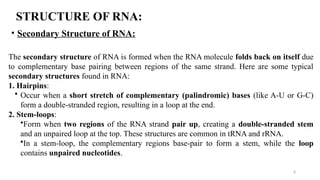 8
STRUCTURE OF RNA:
• Secondary Structure of RNA:
The secondary structure of RNA is formed when the RNA molecule folds back on itself due
to complementary base pairing between regions of the same strand. Here are some typical
secondary structures found in RNA:
1. Hairpins:
• Occur when a short stretch of complementary (palindromic) bases (like A-U or G-C)
form a double-stranded region, resulting in a loop at the end.
2. Stem-loops:
•Form when two regions of the RNA strand pair up, creating a double-stranded stem
and an unpaired loop at the top. These structures are common in tRNA and rRNA.
•In a stem-loop, the complementary regions base-pair to form a stem, while the loop
contains unpaired nucleotides.
 
