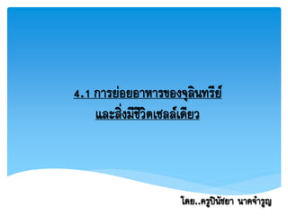 4.1การย่อยอาหารของจุลินทรีย์
และสิ่งมีชีวิตเซลล์เดียว
โดย..ครูปินัชยา นาคจารูญ
 