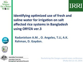 Iden%fying	
  op%mized	
  use	
  of	
  fresh	
  and	
  
saline	
  water	
  for	
  irriga%on	
  on	
  salt	
  
aﬀected	
  rice	
  systems	
  in	
  Bangladesh	
  
using	
  ORYZA	
  ver.3	
  
Radanielson	
  A.M.	
  ,	
  O.	
  Angeles,	
  T.Li,	
  A.K.	
  
Rahman,	
  D.	
  Gaydon.	
  
Revitalizing	
  the	
  Ganges	
  coastal	
  zones	
  conference	
  
Dhaka	
  Oct	
  21-­‐23,	
  2014	
  
 