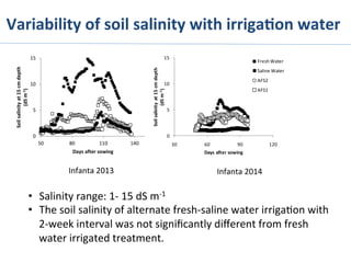 Variability	
  of	
  soil	
  salinity	
  with	
  irriga%on	
  water	
  
Infanta	
  2013	
   Infanta	
  2014	
  
•  Salinity	
  range:	
  1-­‐	
  15	
  dS	
  m-­‐1	
  
•  The	
  soil	
  salinity	
  of	
  alternate	
  fresh-­‐saline	
  water	
  irriga>on	
  with	
  
2-­‐week	
  interval	
  was	
  not	
  signiﬁcantly	
  diﬀerent	
  from	
  fresh	
  
water	
  irrigated	
  treatment.	
  
0
5
10
15
50 80 110 140
Soil	
  salinity	
  at	
  15	
  cm	
  depth	
  
(dS	
  m-­‐1)
Days	
  after	
  sowing
0
5
10
15
30 60 90 120
Soil	
  salinity	
  at	
  15	
  cm	
  depth	
  
(dS	
  m-­‐1)
Days	
  after	
  sowing
Fresh	
  Water
Saline	
  Water
AFS2
AFS1
 