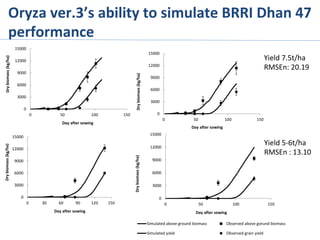 Oryza	
  ver.3’s	
  ability	
  to	
  simulate	
  BRRI	
  Dhan	
  47	
  
performance	
  
Yield	
  7.5t/ha	
  
RMSEn:	
  20.19	
  
Yield	
  5-­‐6t/ha	
  
RMSEn	
  :	
  13.10	
  
0
3000
6000
9000
12000
15000
0 30 60 90 120 150
Dry	
  biomass	
  (kg/ha)
Day	
  after	
  sowing
0
3000
6000
9000
12000
15000
0 50 100 150
Dry	
  biomass	
  (kg/ha)
Day	
  after	
  sowing
0
3000
6000
9000
12000
15000
0 50 100 150
Dry	
  biomass	
  (kg/ha)
Day	
  after	
  sowing
0
3000
6000
9000
12000
15000
0 50 100 150
Dry	
  biomass	
  (kg/ha)
Day	
  after	
  sowing
Simulated	
  above	
  ground	
  biomass Observed	
  above	
  gorund	
  biomass
Simulated	
  yield Observed	
  grain	
  yield
 