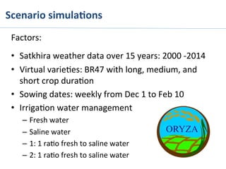  Scenario	
  simula%ons	
  
Factors:	
  
	
  
•  Satkhira	
  weather	
  data	
  over	
  15	
  years:	
  2000	
  -­‐2014	
  
•  Virtual	
  varie>es:	
  BR47	
  with	
  long,	
  medium,	
  and	
  
short	
  crop	
  dura>on	
  
•  Sowing	
  dates:	
  weekly	
  from	
  Dec	
  1	
  to	
  Feb	
  10	
  
•  Irriga>on	
  water	
  management	
  
–  Fresh	
  water	
  
–  Saline	
  water	
  
–  1:	
  1	
  ra>o	
  fresh	
  to	
  saline	
  water	
  
–  2:	
  1	
  ra>o	
  fresh	
  to	
  saline	
  water	
  
 