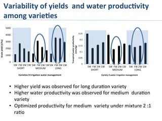 Variability	
  of	
  yields	
  	
  and	
  water	
  produc%vity	
  
among	
  varie%es	
  
0
0.05
0.1
0.15
0.2
0.25
Transpired	
  water	
  productivity	
  
(mm/kg) Variety	
  X	
  water	
  irrigation	
  management
0
1000
2000
3000
4000
5000
Grain	
  yield	
  (t/ha)
Varieties	
  X	
  Irrigation	
  water	
  management
•  Higher	
  yield	
  was	
  observed	
  for	
  long	
  dura>on	
  variety	
  
•  Higher	
  water	
  produc>vity	
  was	
  observed	
  for	
  medium	
  	
  dura>on	
  
variety	
  
•  Op>mized	
  produc>vity	
  for	
  medium	
  	
  variety	
  under	
  mixture	
  2	
  :1	
  
ra>o	
  
	
  	
  	
  	
  	
  SW	
  	
  FW	
  2W	
  1W	
  
SHORT	
  
	
  	
  	
  	
  	
  	
  	
  	
  	
  	
  	
  	
  
SW	
  	
  FW	
  2W	
  1W	
  
LONG	
  
	
  	
  	
  	
  	
  	
  	
  	
  	
  	
  	
  	
  
SW	
  	
  FW	
  2W	
  1W	
  
MEDIUM	
  
	
  	
  	
  	
  	
  	
  	
  	
  	
  	
  	
  	
  
	
  	
  	
  	
  	
  SW	
  	
  FW	
  2W	
  1W	
  
SHORT	
  
	
  	
  	
  	
  	
  	
  	
  	
  	
  	
  	
  	
  
SW	
  	
  FW	
  2W	
  1W	
  
LONG	
  
	
  	
  	
  	
  	
  	
  	
  	
  	
  	
  	
  	
  
SW	
  	
  FW	
  2W	
  1W	
  
MEDIUM	
  
	
  	
  	
  	
  	
  	
  	
  	
  	
  	
  	
  	
  
 