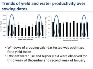 Trends	
  of	
  yield	
  and	
  water	
  produc%vity	
  over	
  
sowing	
  dates	
  
0.1
0.12
0.14
0.16
0.18
0.2
5 12 19 26 33 40 336 343 350 357 364
Transpired	
  water	
  productivity	
  (mm/kg)
Date	
  of	
  sowing	
  (Julian	
  day)
2000
2100
2200
2300
2400
2500
5 12 19 26 33 40 336 343 350 357 364
Grain	
  yield	
  	
  (kg/ha)
Date	
  of	
  sowing	
  (Julian	
  day)
•  Windows	
  of	
  cropping	
  calendar	
  tested	
  was	
  op>mized	
  
for	
  a	
  yield	
  mean	
  
•  Eﬃcient	
  water	
  use	
  and	
  higher	
  yield	
  were	
  observed	
  for	
  
third	
  week	
  of	
  December	
  and	
  second	
  week	
  of	
  January	
  
 