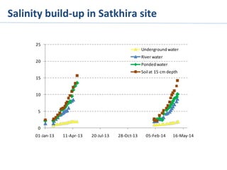 0
5
10
15
20
25
01-­‐Jan-­‐13 11-­‐Apr-­‐13 20-­‐Jul-­‐13 28-­‐Oct-­‐13 05-­‐Feb-­‐14 16-­‐May-­‐14
Underground	
  water
River	
  water
Ponded	
  water
Soil	
  at	
  15	
  cm	
  depth
Salinity	
  build-­‐up	
  in	
  Satkhira	
  site	
  
 