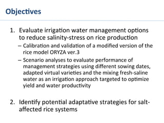 Objec%ves	
  
1.  Evaluate	
  irriga>on	
  water	
  management	
  op>ons	
  
to	
  reduce	
  salinity-­‐stress	
  on	
  rice	
  produc>on	
  
–  Calibra>on	
  and	
  valida>on	
  of	
  a	
  modiﬁed	
  version	
  of	
  the	
  
rice	
  model	
  ORYZA	
  ver.3	
  
–  Scenario	
  analyses	
  to	
  evaluate	
  performance	
  of	
  
management	
  strategies	
  using	
  diﬀerent	
  sowing	
  dates,	
  
adapted	
  virtual	
  varie>es	
  and	
  the	
  mixing	
  fresh-­‐saline	
  
water	
  as	
  an	
  irriga>on	
  approach	
  targeted	
  to	
  op>mize	
  
yield	
  and	
  water	
  produc>vity	
  
2.  Iden>fy	
  poten>al	
  adapta>ve	
  strategies	
  for	
  salt-­‐
aﬀected	
  rice	
  systems	
  
 