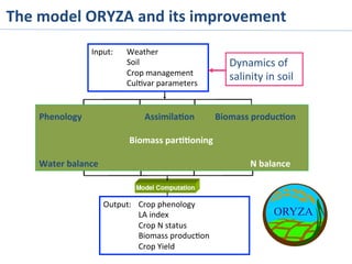 Input:	
   	
  Weather	
  
	
  Soil	
  	
  
	
  Crop	
  management	
  
	
  Cul>var	
  parameters	
  
Output:	
   	
  Crop	
  phenology	
  
	
  LA	
  index	
  
	
  Crop	
  N	
  status	
  
	
  Biomass	
  produc>on	
  
	
  Crop	
  Yield	
  
Phenology 	
   	
  Assimila%on 	
  Biomass	
  produc%on	
  
	
  
	
   	
  	
  	
  	
  	
  	
  	
  	
  	
  	
  Biomass	
  par%%oning	
  	
  
	
  
Water	
  balance	
   	
   	
   	
   	
   	
  N	
  balance	
  
Dynamics	
  of	
  
salinity	
  in	
  soil	
  
The	
  model	
  ORYZA	
  and	
  its	
  improvement	
  
 