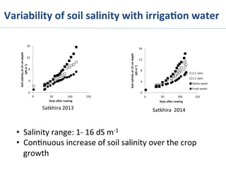 Satkhira	
  2013	
   Satkhira	
  	
  2014	
  
Variability	
  of	
  soil	
  salinity	
  with	
  irriga%on	
  water	
  
•  Salinity	
  range:	
  1-­‐	
  16	
  dS	
  m-­‐1	
  
•  Con>nuous	
  increase	
  of	
  soil	
  salinity	
  over	
  the	
  crop	
  
growth	
  
0
4
8
12
16
0 50 100 150
Soil	
  salinity	
  at	
  15	
  cm	
  depth
(dS	
  m-­‐1)
Days	
  after	
  sowing
2:1	
  ratio
1:1	
  ratio
Saline	
  water
Fresh	
  water
0
4
8
12
16
0 50 100 150
Soil	
  salinity	
  at	
  15	
  cm	
  depth
(dS	
  m-­‐1)
Days	
  after	
  sowing
 
