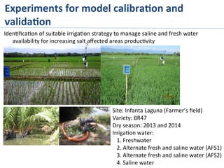 Iden>ﬁca>on	
  of	
  suitable	
  irriga>on	
  strategy	
  to	
  manage	
  saline	
  and	
  fresh	
  water	
  
availability	
  for	
  increasing	
  salt	
  aﬀected	
  areas	
  produc>vity	
  
Site:	
  Infanta	
  Laguna	
  (Farmer’s	
  ﬁeld)	
  
Variety:	
  BR47	
  
Dry	
  season:	
  2013	
  and	
  2014	
  
Irriga>on	
  water:	
  
	
  	
  	
  1.	
  Freshwater	
  
	
  	
  	
  2.	
  Alternate	
  fresh	
  and	
  saline	
  water	
  (AFS1)	
  
	
  	
  	
  3.	
  Alternate	
  fresh	
  and	
  saline	
  water	
  (AFS2)	
  
	
  	
  	
  4.	
  Saline	
  water	
  
Experiments	
  for	
  model	
  calibra%on	
  and	
  
valida%on	
  
 