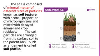 4. Types of Garden / Agricultural Soil.pptx