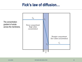 12/11/2025 DIFFUSION AND DISSOLUTION 21
Fick’s law of diffusion…
The concentration
gradient of solute
across the membrane.
 