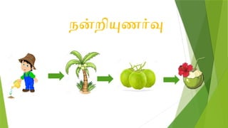 நன்றியுணர்வு
 