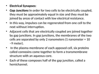 • Electrical Synapses:
• Gap Junctions In order for two cells to be electrically coupled,
they must be approximately equal in size and they must be
joined by areas of contact with low electrical resistance.
• In this way, impulses can be regenerated from one cell to the
next without interruption.
• Adjacent cells that are electrically coupled are joined together
by gap junctions. In gap junctions, the membranes of the two
cells are separated by only 2 nanometers (1 nanometer = 10
−9 meter).
• In the plasma membrane of each apposed cell, six proteins
called connexins come together to form a transmembrane
structure with an aqueous core.
• Each of these composes half of the gap junction, called a
hemichannel.
 