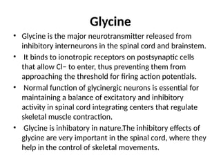 Glycine
• Glycine is the major neurotransmitter released from
inhibitory interneurons in the spinal cord and brainstem.
• It binds to ionotropic receptors on postsynaptic cells
that allow Cl− to enter, thus preventing them from
approaching the threshold for firing action potentials.
• Normal function of glycinergic neurons is essential for
maintaining a balance of excitatory and inhibitory
activity in spinal cord integrating centers that regulate
skeletal muscle contraction.
• Glycine is inhibatory in nature.The inhibitory effects of
glycine are very important in the spinal cord, where they
help in the control of skeletal movements.
 