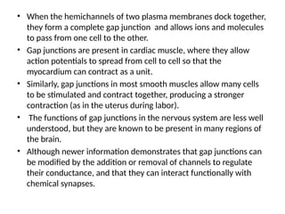 • When the hemichannels of two plasma membranes dock together,
they form a complete gap junction and allows ions and molecules
to pass from one cell to the other.
• Gap junctions are present in cardiac muscle, where they allow
action potentials to spread from cell to cell so that the
myocardium can contract as a unit.
• Similarly, gap junctions in most smooth muscles allow many cells
to be stimulated and contract together, producing a stronger
contraction (as in the uterus during labor).
• The functions of gap junctions in the nervous system are less well
understood, but they are known to be present in many regions of
the brain.
• Although newer information demonstrates that gap junctions can
be modified by the addition or removal of channels to regulate
their conductance, and that they can interact functionally with
chemical synapses.
 