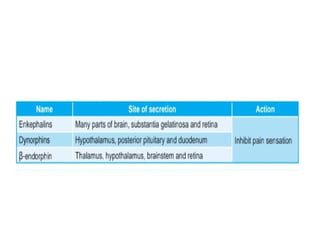 4.2.2. Synapse and Neurotransmitter .pptx