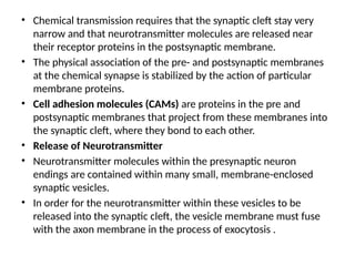 • Chemical transmission requires that the synaptic cleft stay very
narrow and that neurotransmitter molecules are released near
their receptor proteins in the postsynaptic membrane.
• The physical association of the pre- and postsynaptic membranes
at the chemical synapse is stabilized by the action of particular
membrane proteins.
• Cell adhesion molecules (CAMs) are proteins in the pre and
postsynaptic membranes that project from these membranes into
the synaptic cleft, where they bond to each other.
• Release of Neurotransmitter
• Neurotransmitter molecules within the presynaptic neuron
endings are contained within many small, membrane-enclosed
synaptic vesicles.
• In order for the neurotransmitter within these vesicles to be
released into the synaptic cleft, the vesicle membrane must fuse
with the axon membrane in the process of exocytosis .
 