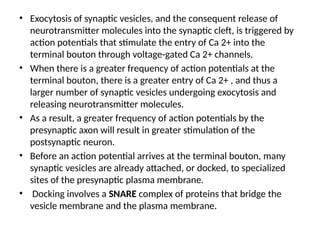 • Exocytosis of synaptic vesicles, and the consequent release of
neurotransmitter molecules into the synaptic cleft, is triggered by
action potentials that stimulate the entry of Ca 2+ into the
terminal bouton through voltage-gated Ca 2+ channels.
• When there is a greater frequency of action potentials at the
terminal bouton, there is a greater entry of Ca 2+ , and thus a
larger number of synaptic vesicles undergoing exocytosis and
releasing neurotransmitter molecules.
• As a result, a greater frequency of action potentials by the
presynaptic axon will result in greater stimulation of the
postsynaptic neuron.
• Before an action potential arrives at the terminal bouton, many
synaptic vesicles are already attached, or docked, to specialized
sites of the presynaptic plasma membrane.
• Docking involves a SNARE complex of proteins that bridge the
vesicle membrane and the plasma membrane.
 