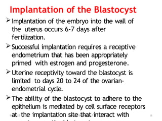 4.Development of embryo and placenta (1).pptx
