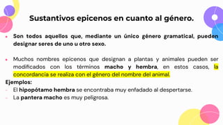 4. Sustantivos..pdf..................... | PDF