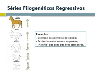 Séries Filogenéticas Regressivas
Exemplos:
- Evolução dos membros do cavalo;
- Perda dos membros nas serpentes;
- “Atrofia” das asas das aves corredoras.
 