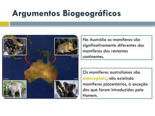 Argumentos Biogeográficos
Na Austrália os mamíferos são
significativamente diferentes dos
mamíferos dos restantes
continentes.
Os mamíferos australianos são
marsupiais, não existindo
mamíferos placentários, à exceção
dos que foram introduzidos pelo
Homem.
 