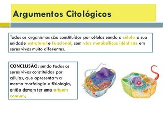 Argumentos Citológicos
Todos os organismos são constituídos por células sendo a célula a sua
unidade estrutural e funcional, com vias metabólicas idênticas em
seres vivos muito diferentes.
CONCLUSÃO: sendo todos os
seres vivos constituídos por
células, que apresentam a
mesma morfologia e fisiologia,
então devem ter uma origem
comum.
 