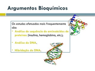 Argumentos Bioquímicos
Os estudos efetuados mais frequentemente
são:
• Análise de sequência de aminoácidos de
proteínas (insulina, hemoglobina, etc.);
• Análise do DNA.
• Hibridação do DNA.
 