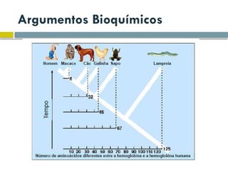 Argumentos Bioquímicos
 