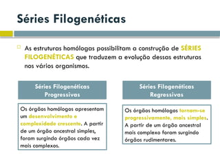 Séries Filogenéticas
 As estruturas homólogas possibilitam a construção de SÉRIES
FILOGENÉTICAS que traduzem a evolução dessas estruturas
nos vários organismos.
Séries Filogenéticas
Progressivas
Séries Filogenéticas
Regressivas
Os órgãos homólogos apresentam
um desenvolvimento e
complexidade crescente. A partir
de um órgão ancestral simples,
foram surgindo órgãos cada vez
mais complexos.
Os órgãos homólogos tornam-se
progressivamente, mais simples.
A partir de um órgão ancestral
mais complexo foram surgindo
órgãos rudimentares.
 