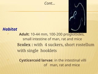 4. Cestodes.power point presentation 123 | PPT