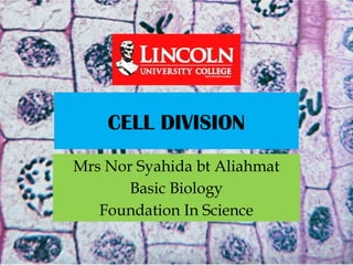Comprehensive Overview of Cell Division: Mitosis and Meiosis Processes ...