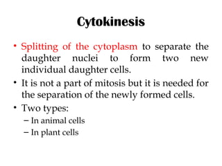 Comprehensive Overview of Cell Division: Mitosis and Meiosis Processes ...