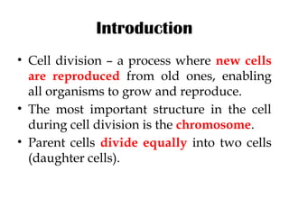 Comprehensive Overview of Cell Division: Mitosis and Meiosis Processes ...