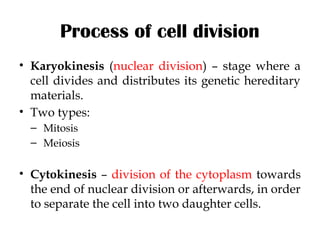 Comprehensive Overview of Cell Division: Mitosis and Meiosis Processes ...