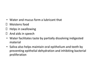 Indigested Comprehensive Overview of Gastrointestinal Tract Secretions and Their ...