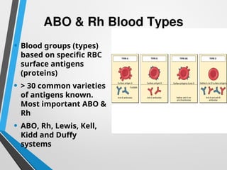 Detailed ppt about BLOOD GROUPS system in human | PPT
