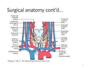 Comprehensive Overview of Thyroid Diseases: Anatomy, Physiology, and ...