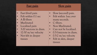 Pain: Definition, Pathways, and Management | PPTX