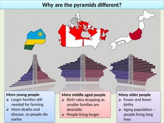 Population Pyramids Why Understanding Population Pyramids: Age, Gender, and Development Stages ...
