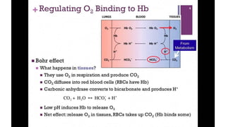Comprehensive Overview of Iron's Role in Bioinorganic Chemistry and ...