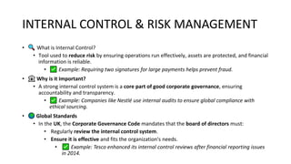 Comprehensive Guide to Internal Control and Risk Management Systems | PDF