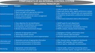 Comprehensive Guide to Internal Control and Risk Management Systems | PDF