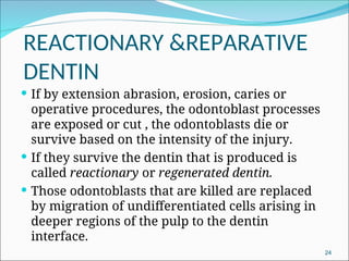 Comprehensive Overview of Dentin: Structure, Types, and Formation | PPT