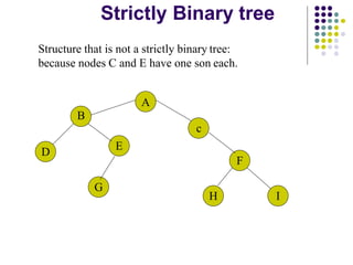 Comprehensive Overview of Binary Trees and Their Applications in Data ...