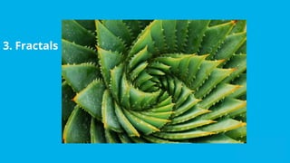 Exploring Patterns in Art and Nature: Fibonacci, Symmetry, Fractals ...
