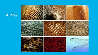 Exploring Patterns in Art and Nature: Fibonacci, Symmetry, Fractals ...